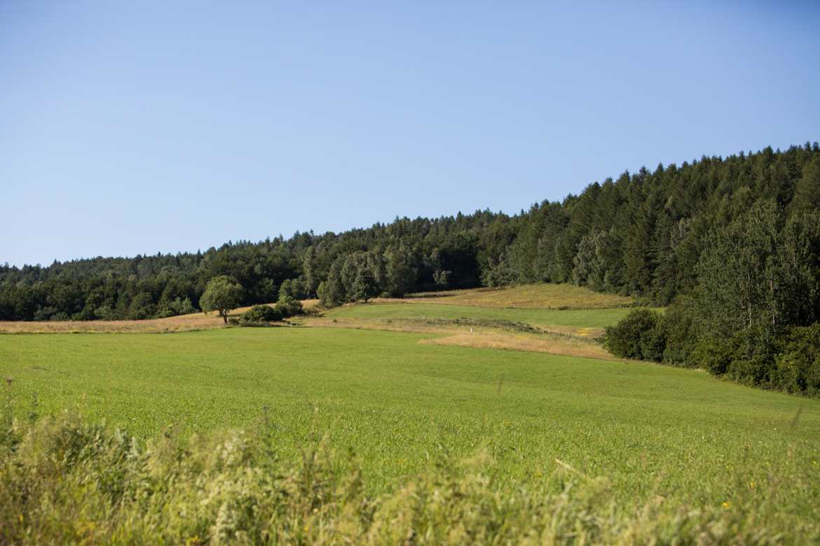 Beskid projekt-rodzina-162