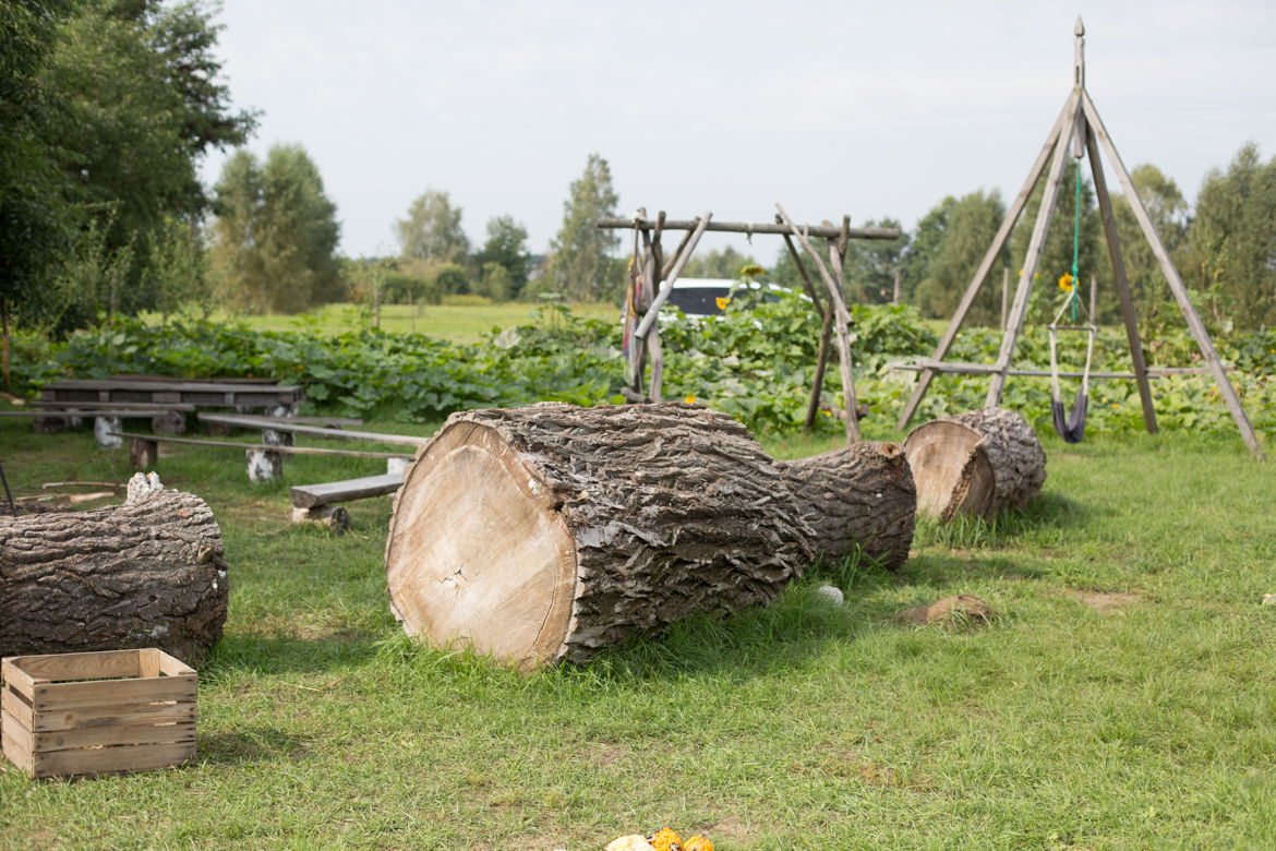 dyniolandia projekt-rodzina.pl-145